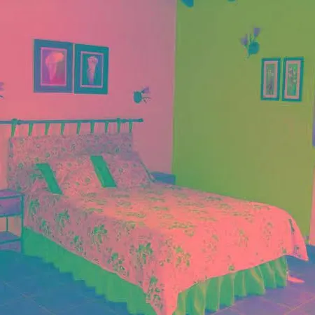 Hotel El Chisco San Cosme